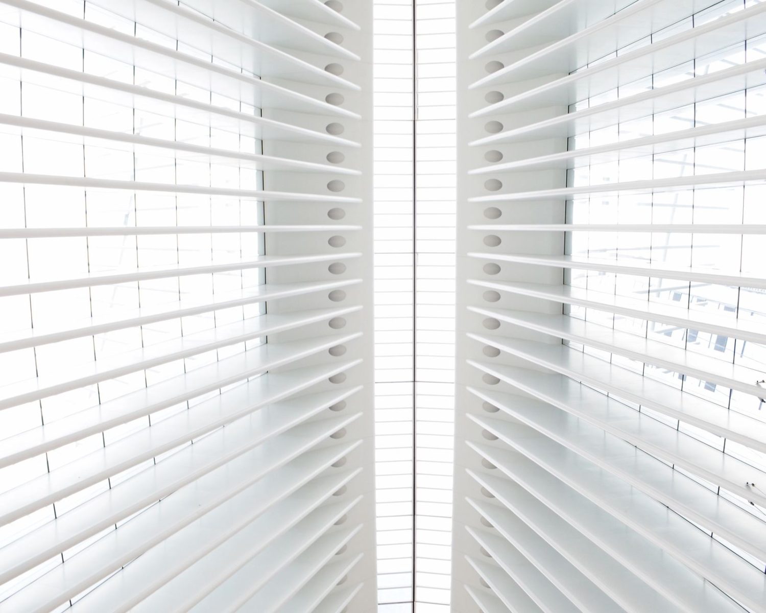 Bright Shutters Everywhere