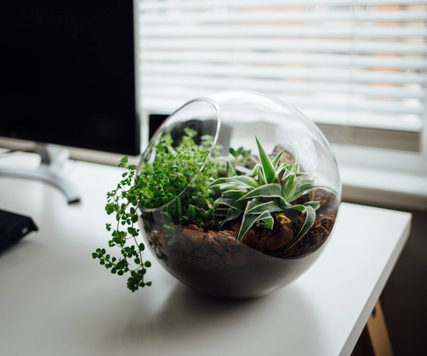 Ecological System in Office